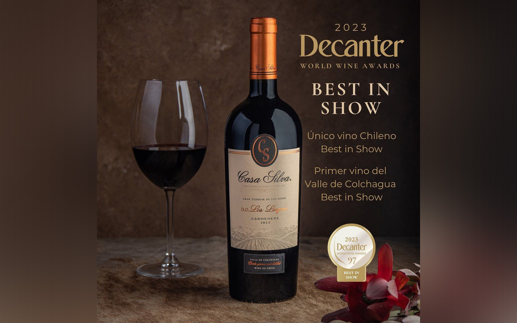 Najlepsze wino z Chile w 2023 według Decanter World Wine Awards Show